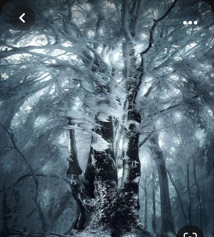 Screenshot_20231025_001549_Pinterest