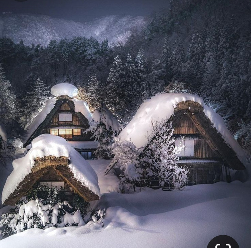 Screenshot_20231211_191246_Pinterest