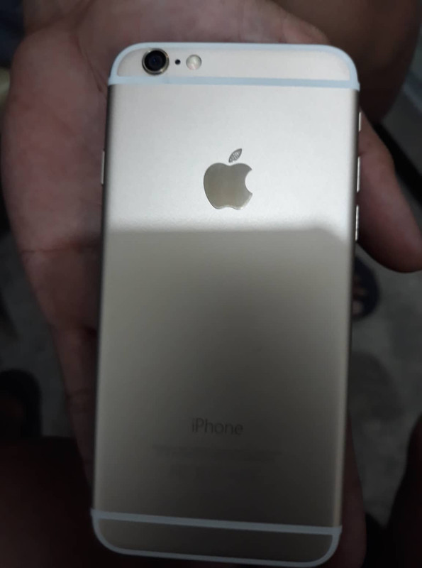 36414725_2079774172278227_8647645650944524288_n