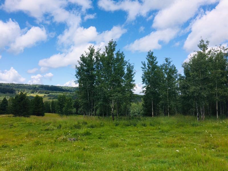 green fields