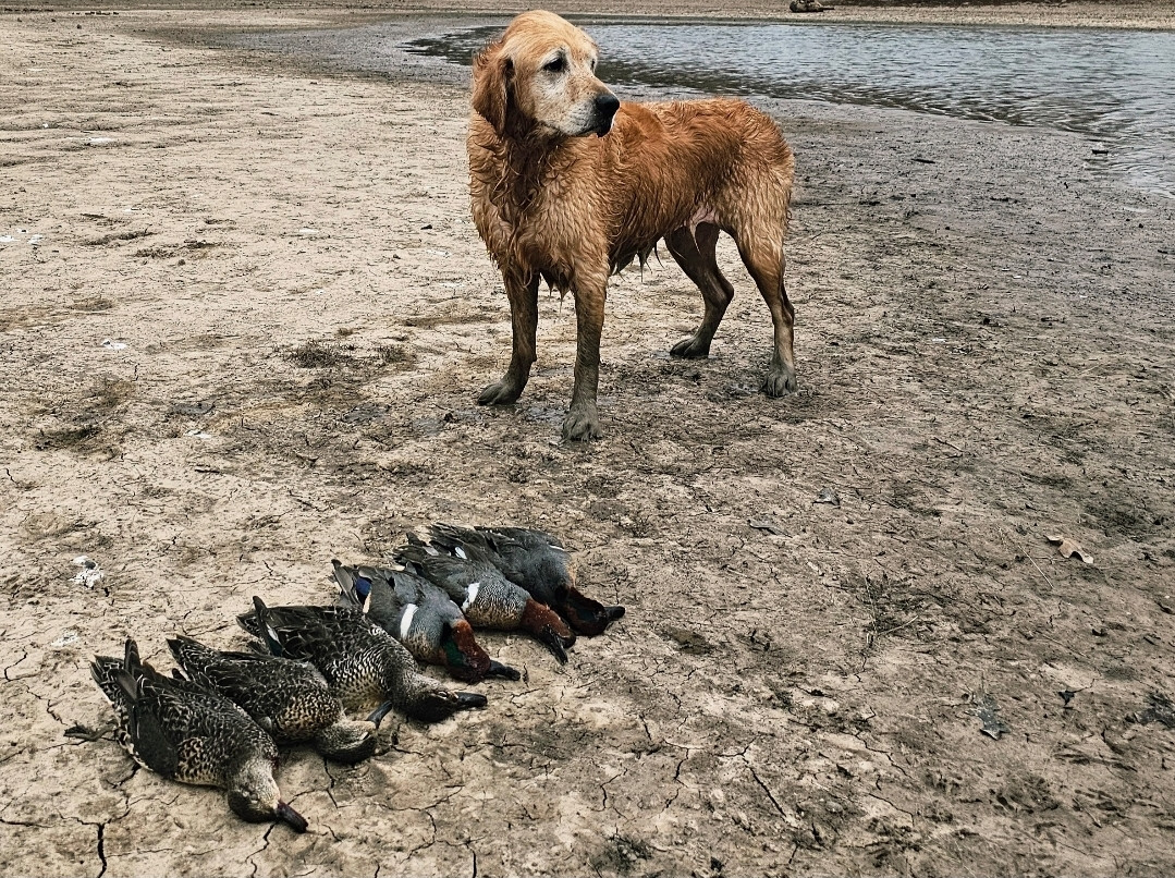 Screenshot 20260123 152746 Gallery