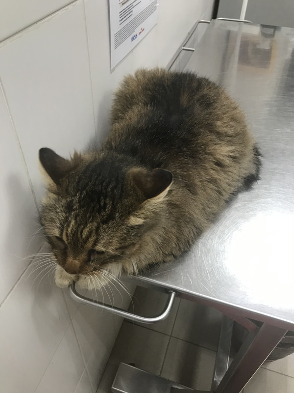 64867936-039F-4BEA-8F11-4D0E2A6C8527