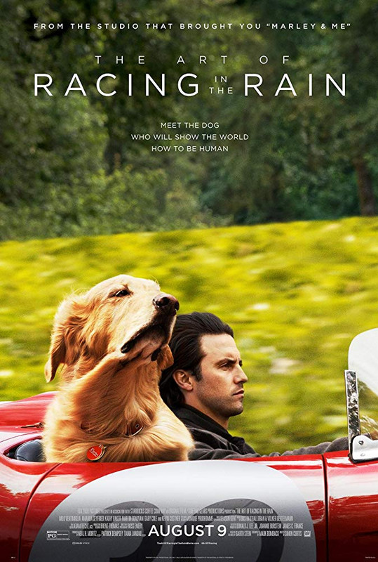 The Art of Racing in the Rain (2019) [1080p x265 HEVC 10bit BluRay AAC 7.1] [Prof]