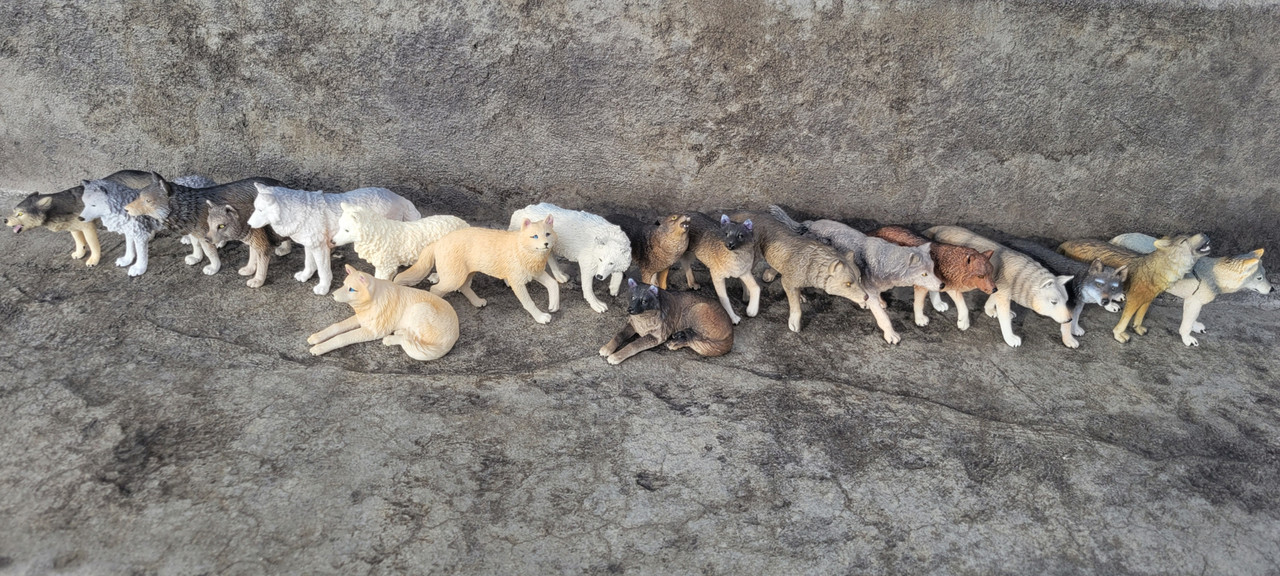 Screenshot_20230612_184559_Gallery