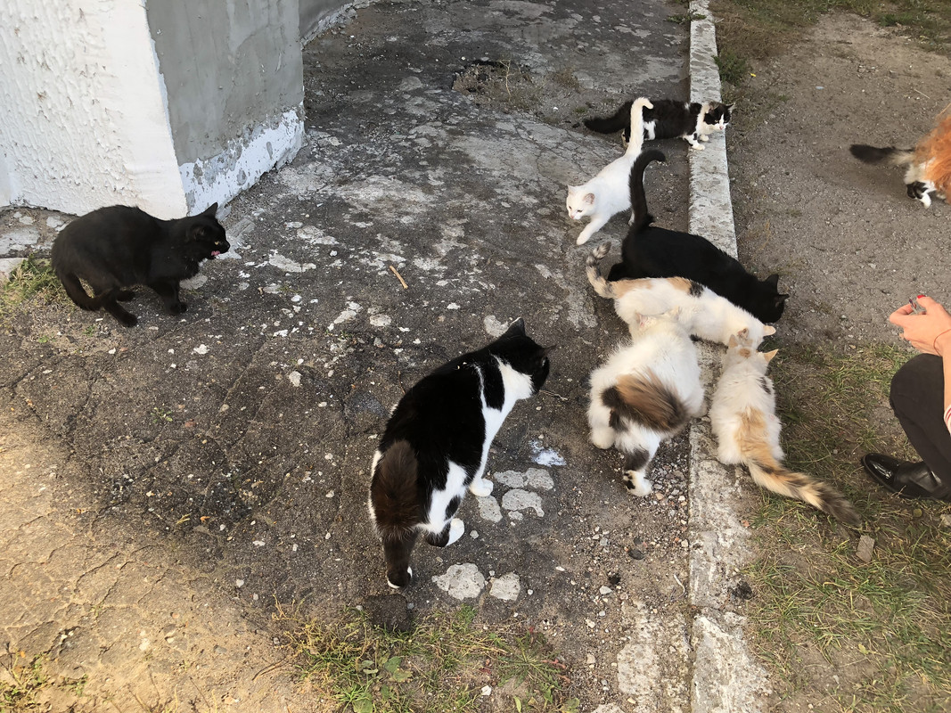 72E26DDC-DA43-4E14-B4A9-5A5A8AA687CB