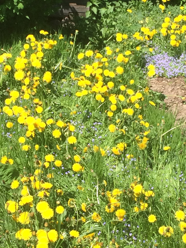 ED02E773-2CCB-4EA9-B4E5-D6E4D9A7A938