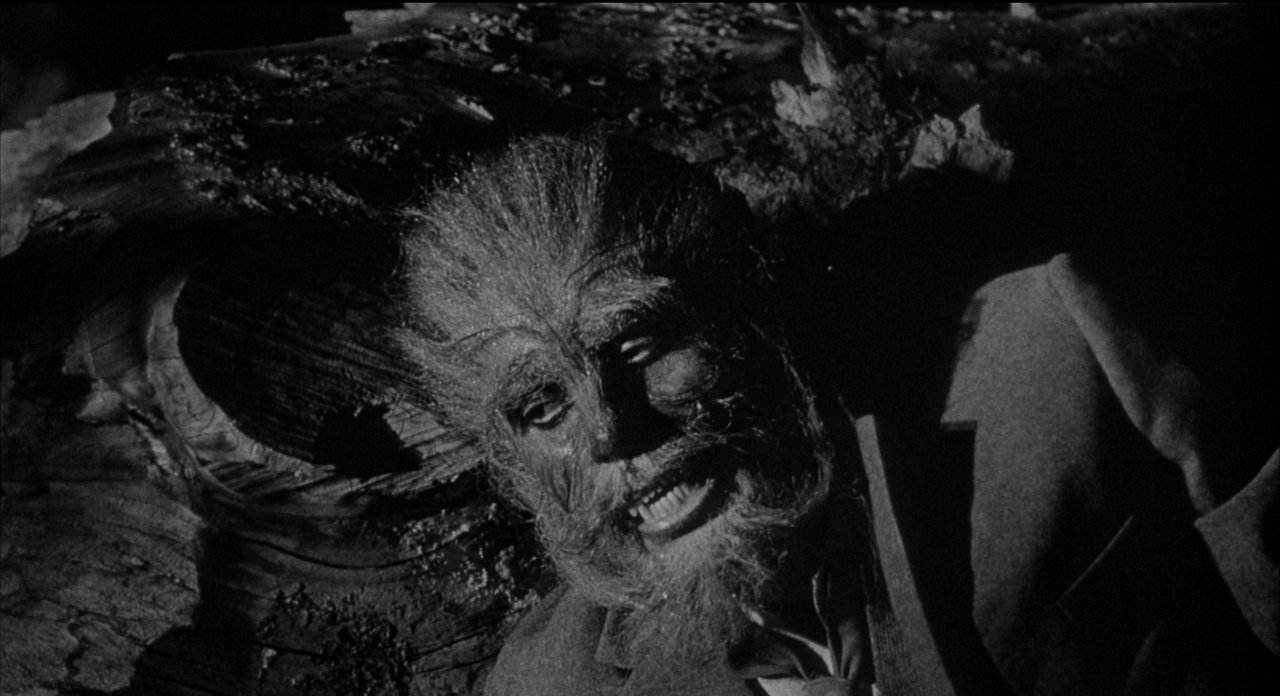 THE WEREWOLF REFERENCE (10)