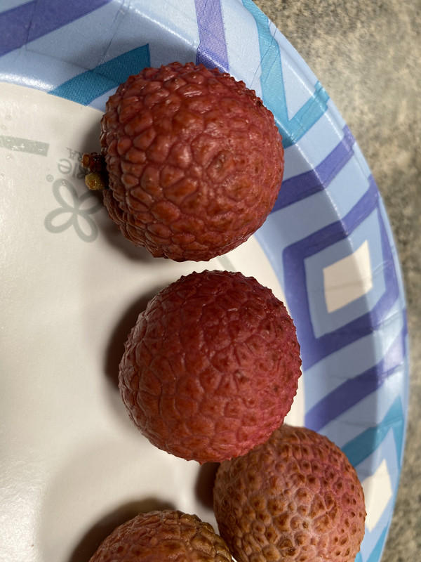 0B46CB4D-B681-40C9-8824-F7ED519C5FCC