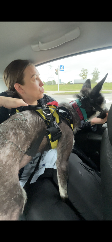 81AF719A-7321-47C9-A3CC-81F8B5F926FD