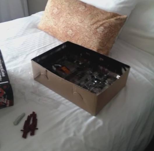 10269511_852763088068918_8280489657537523484_n