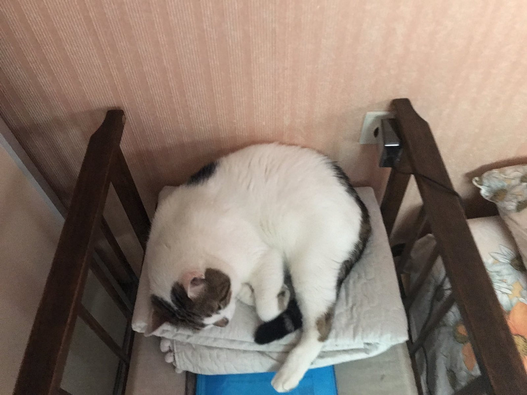 4A8A2623-D1C9-4D6C-AB0B-6581072B4F64