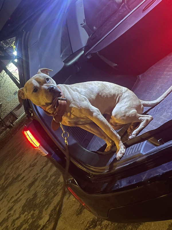 BC9E3DEC-8C19-4740-9407-75331C2EE061