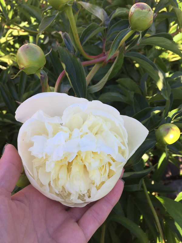 69C8A129-4EF1-435F-AA76-E34EA110EAFA