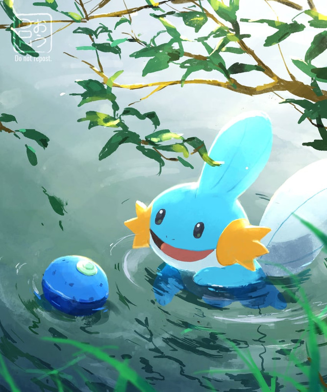 mudkip-pokemon-drawn-by-ohdon-sample-915