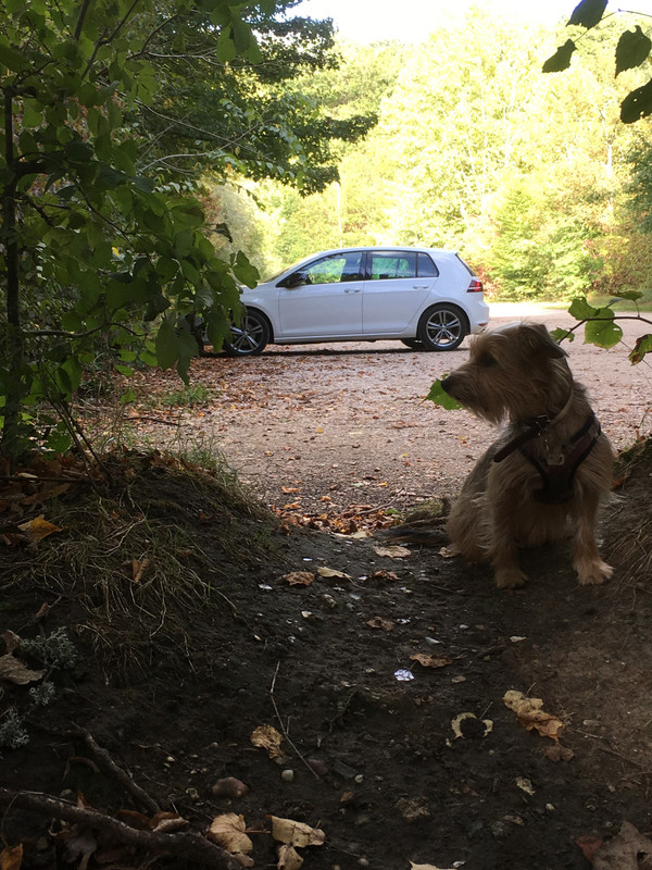 50CD22B8-4613-499D-9D67-5725E4C4B6D7