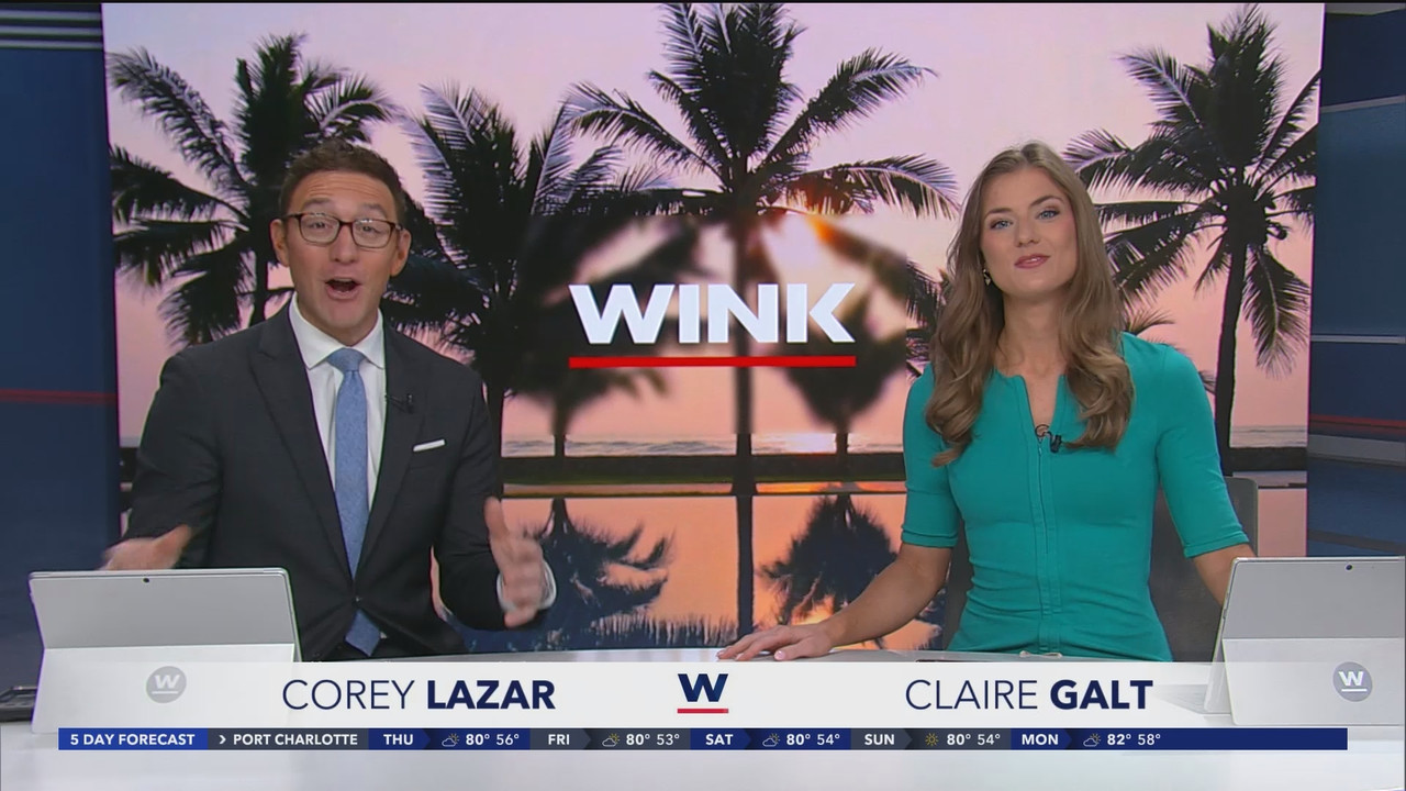 WINK News at 600am_20250227_11001130.ts_snapshot_24.17.089