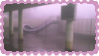 liminal-stamp5