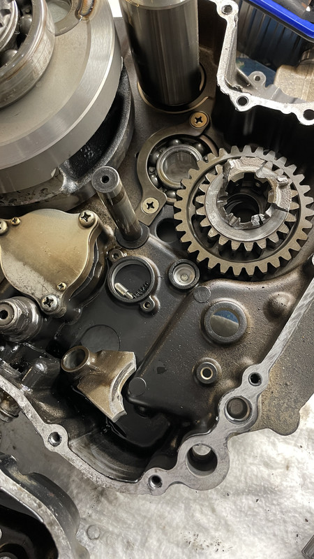 71F3A9BD-B214-4DB9-BCC5-397B001C405A