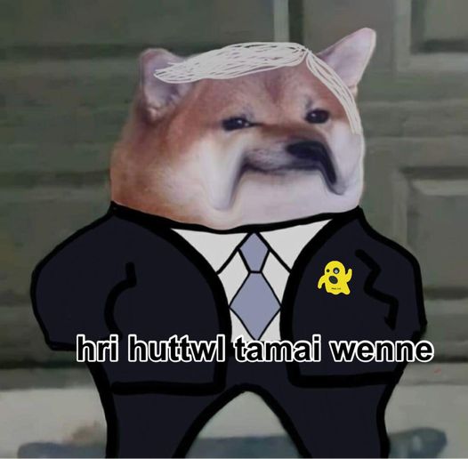 461037067-836600872007765-1371391436004763170-n.jpg