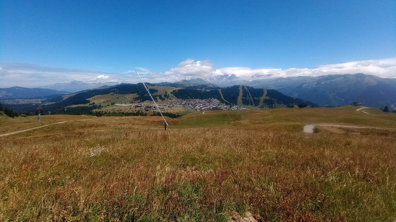 IMG_20250716_131011 (Large)