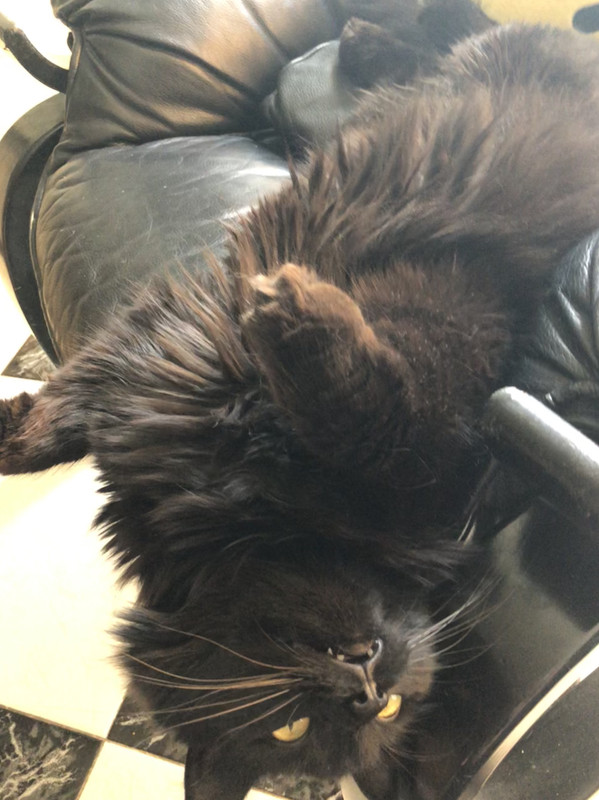 DE6E3023-2DA3-46E5-9F61-48E5C0ABE7F1