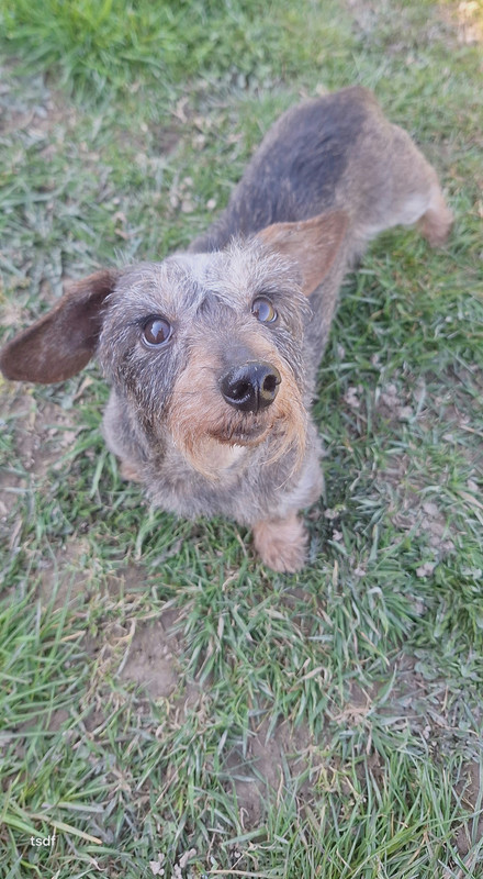 [Image: 20250318-152950.jpg]