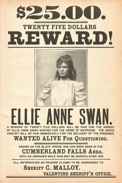 Ellie-anne-swan-wanted-poster.webp