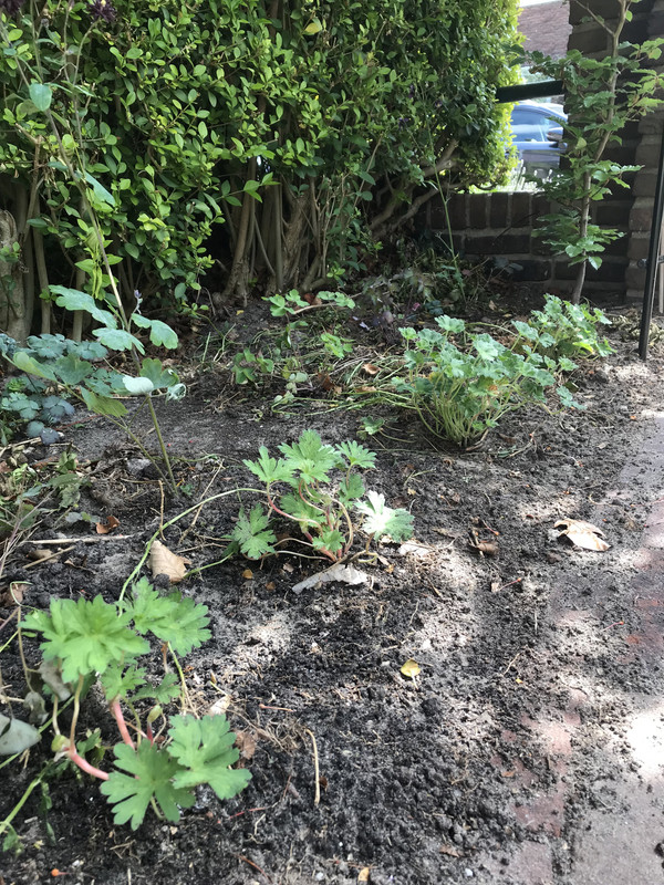 96F595F6-FB2E-4299-984A-9CBD62B323DE