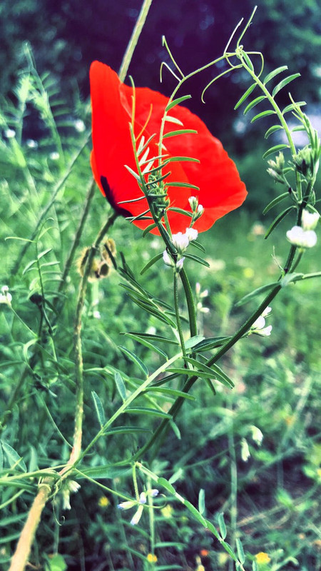 80878C1E-2FB0-4D7D-A6FD-200BF5481D87