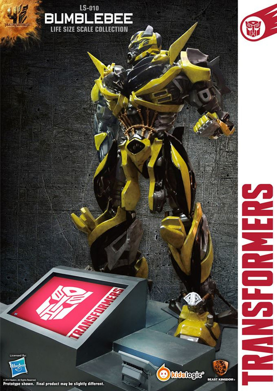 1897953_10152021995602610_3051229246580797769_n