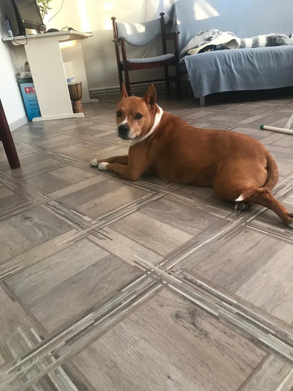 WhatsApp Image 2024-01-03 at 19.46.57 (1)