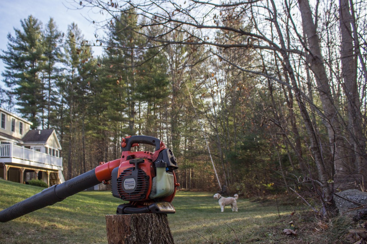 Сезон окончен-2