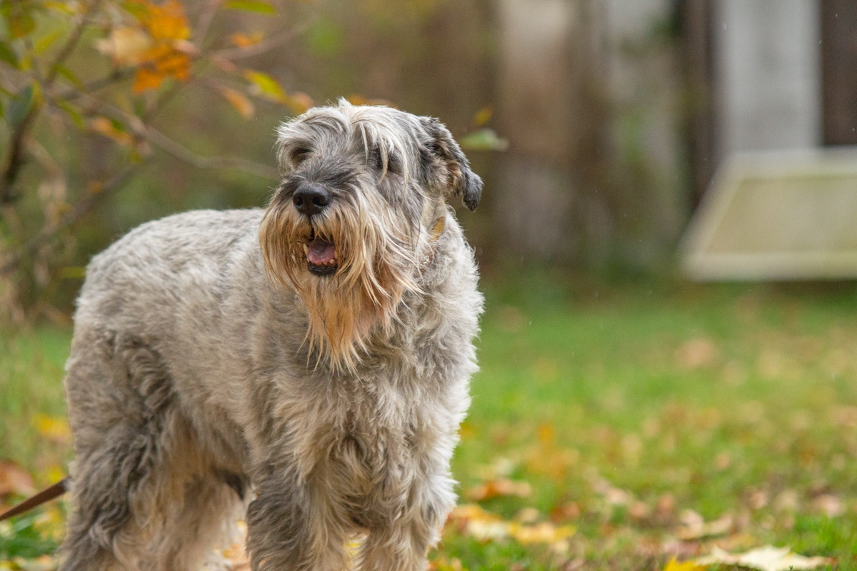 gK3iaWwEtar0MtdPEDL-hq-90cBZUEPg3qibAo9xXptuUC1N5gnE_2IGZoqppMHQQnpRdYcW4I-oUGYwgB_LELQO