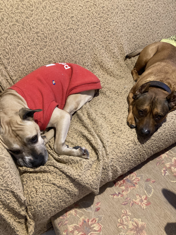 F0A22897-93AB-49E3-9F22-D502006EC494