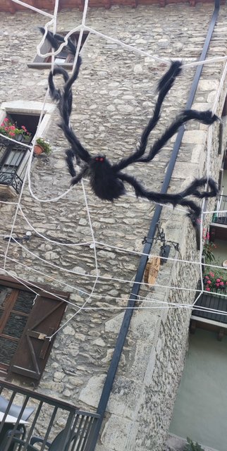 Pirineo Aragonés - Blogs de España - **Día 1 (28 de octubre): Llegada y vista de Benasque (7)