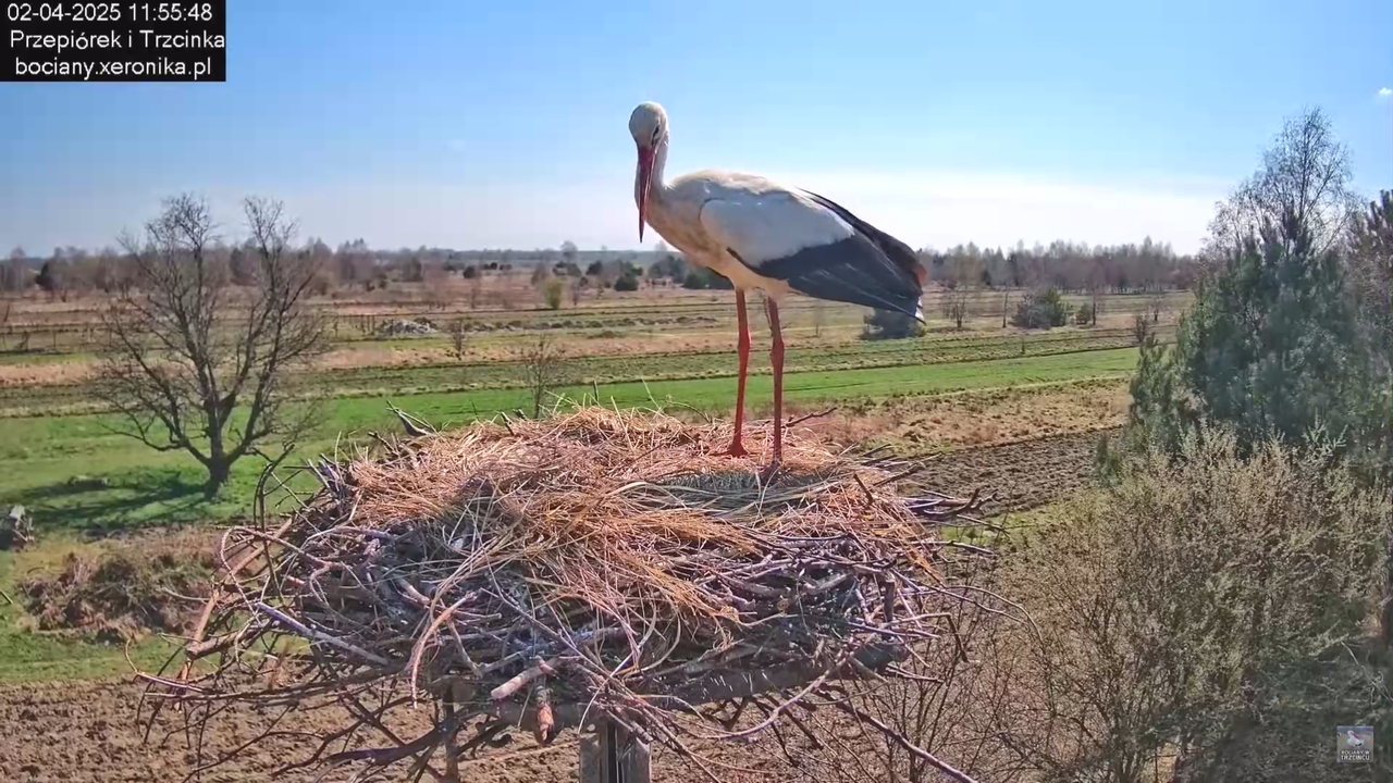 02042025krotkawizytabocka_13