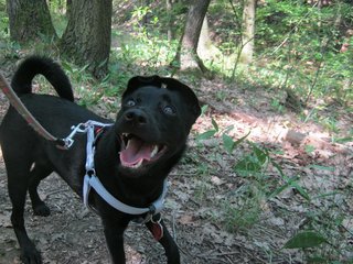 2012.07.24 Potkali jsme Sněhurku 086