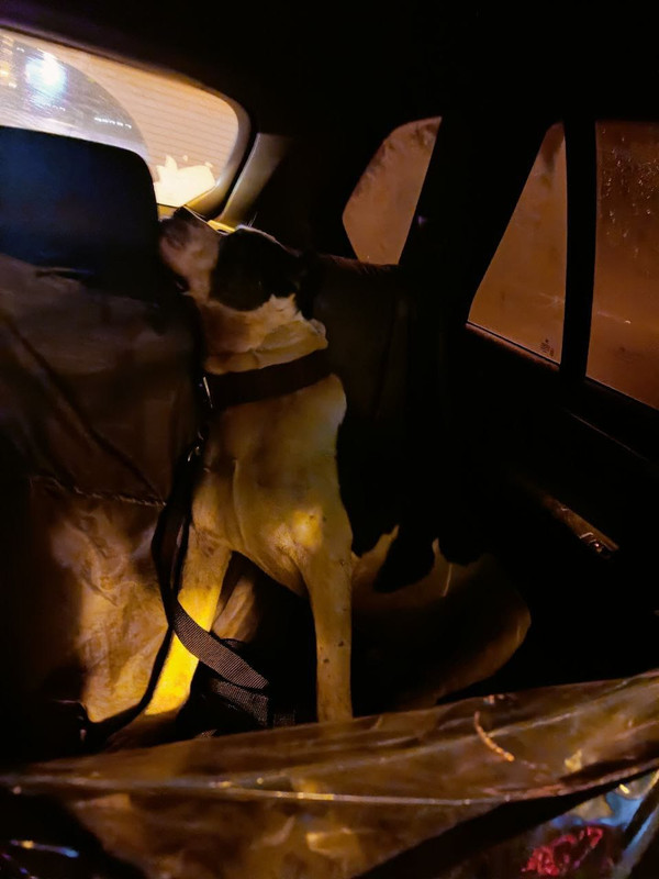 00D46EFA-E057-4298-BBF1-BC8306B4B9E0