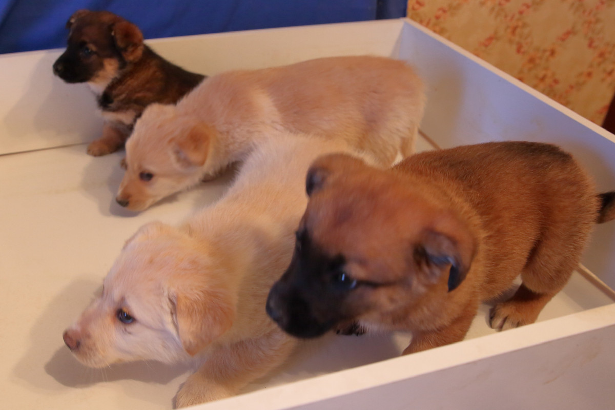 39734C6E-A860-4181-94EA-6AE977FE670B