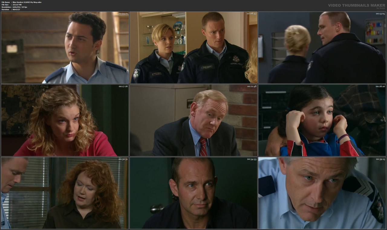 Blue Heelers S12E03 My Way.mkv