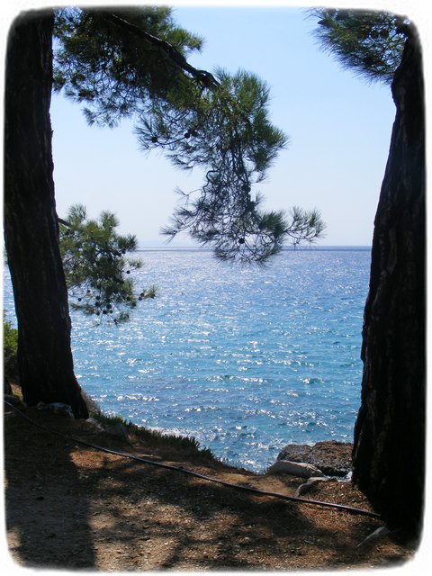 Slika