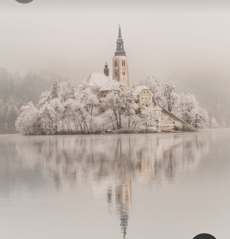 Screenshot_20230313_000123_Pinterest