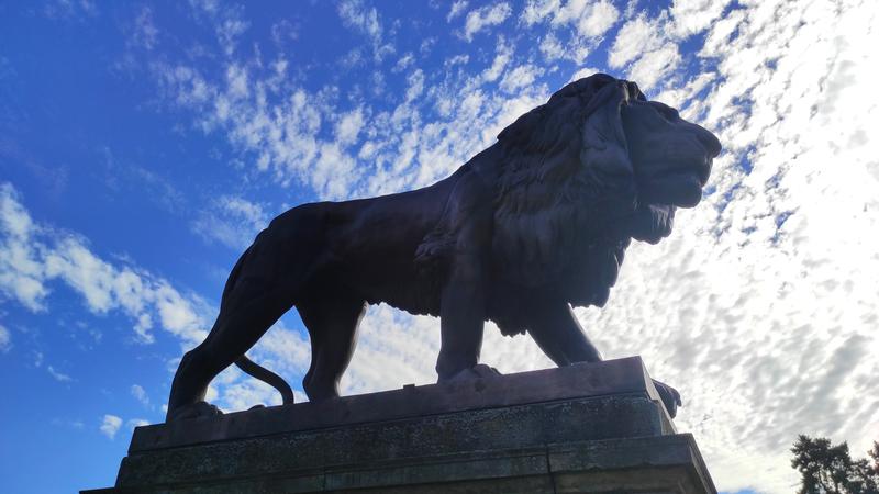 Castillo Zbiroh-21-9-2025 - República Checa y sus pueblos-2025 (45)