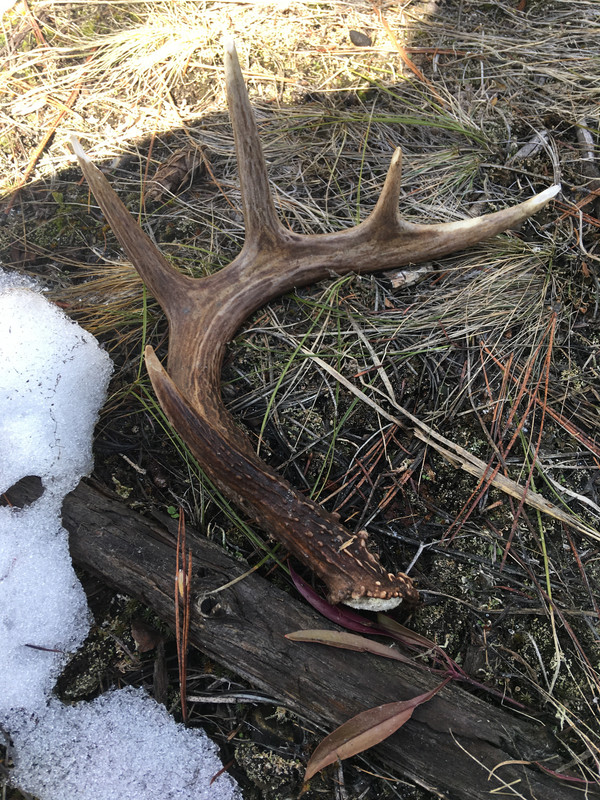 11EF88A6-94D5-443B-A31A-4FD225533B14