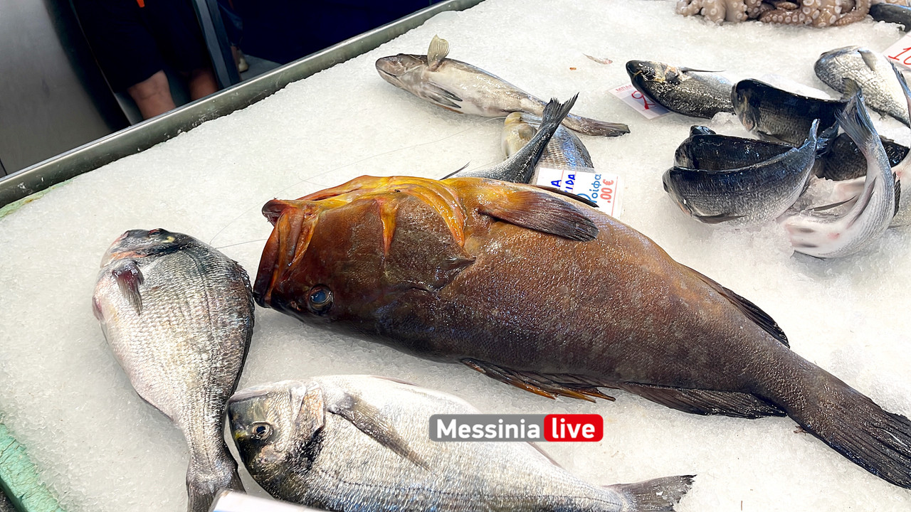 ΑΓΟΡΑΑimage00013