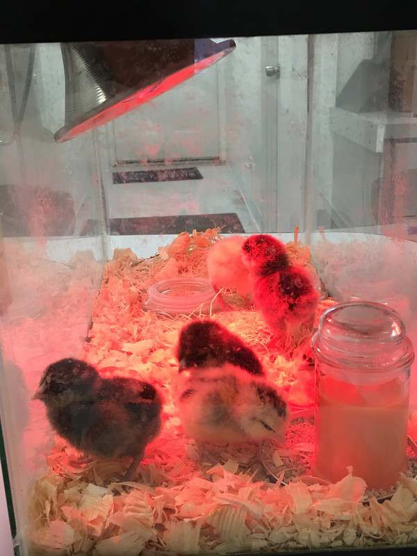 1B345C62-9B05-4D91-A4BA-07A866CB8E29