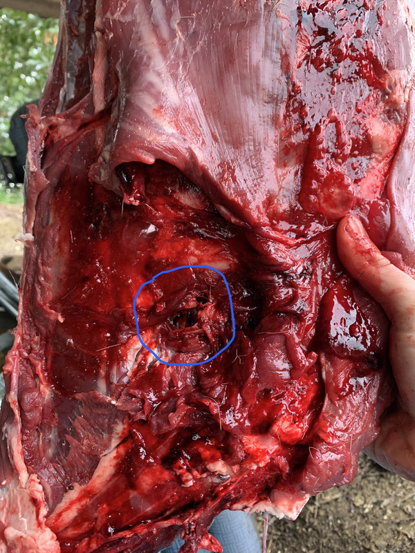 BEBA9DE7-ADCF-47F7-B423-6F4052592D07