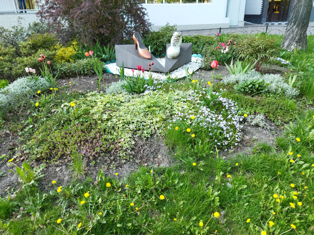 IMG-20210506-181254.jpg