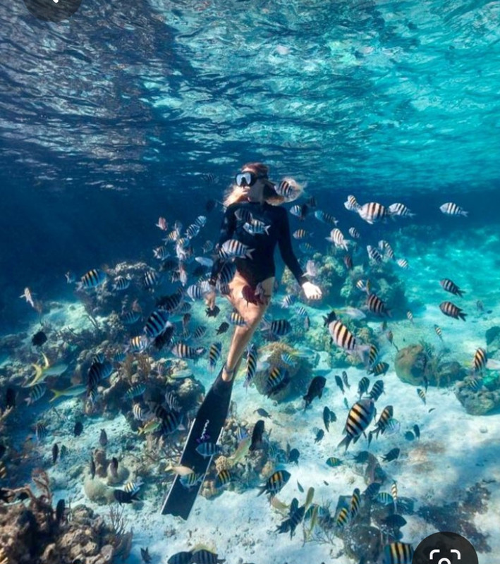 Screenshot_20230518_224652_Pinterest