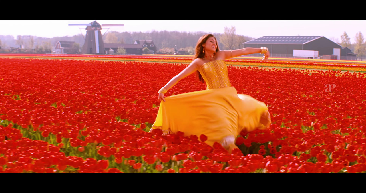 VideoCapture_20241122-200356